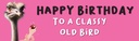 Happy Birthday Funny Banner - Classy Old Bird - Pink