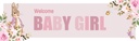 Welcome Baby Girl Banner - Pink Rabbit