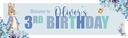 Personalised Happy 3rd Birthday Banner - Blue Rabbit - Custom Name