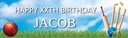 Personalised Party Banner - Cricket - Custom Text