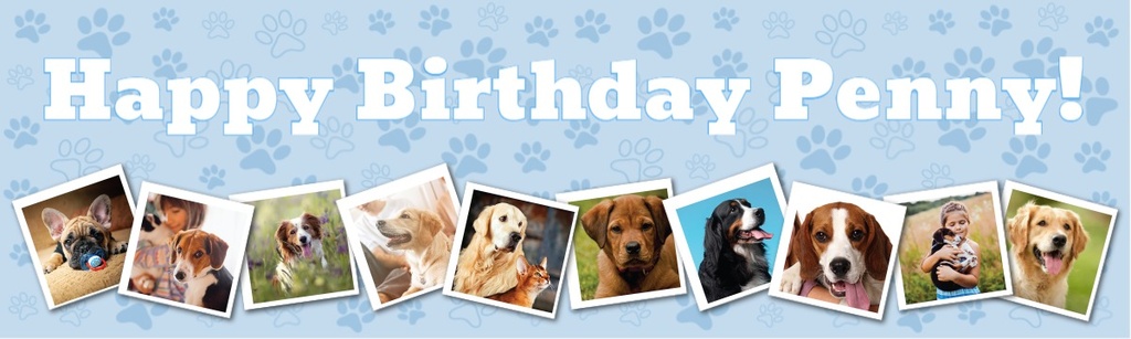 Personalised Pet Birthday Banner - Blue Paw Prints - 10 Photo Upload