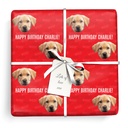 Personalised Pet Birthday Wrapping Paper - Upload Photo & Add Text