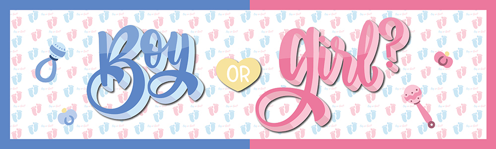 Gender Reveal Party Banner - Pink & Blue Boy Or Girl