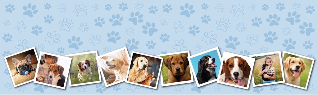 Personalised Pet Birthday Banner - Blue Paw Prints - 10 Photo Upload